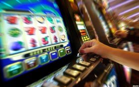 336 bet login