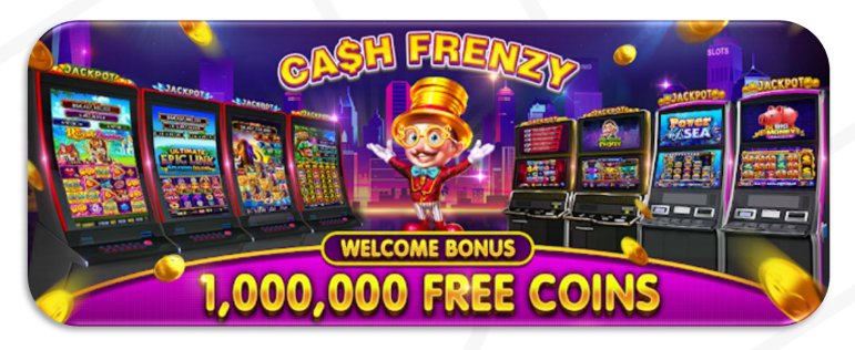 336 bet login