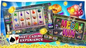336 bet login
